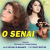 About O Senai Song